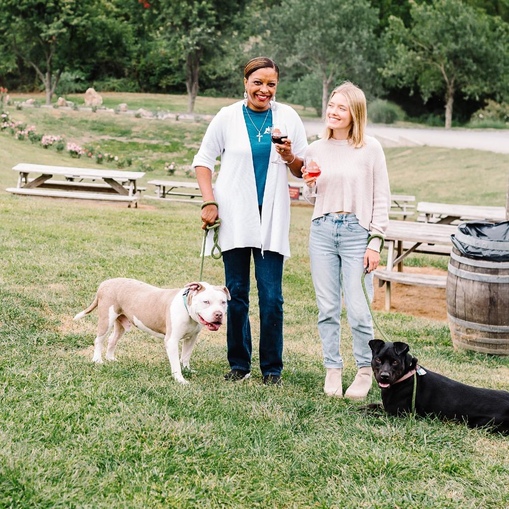 Enlarge Slacky - 003652, a Adoptable Mixed Breed in Marshall, VA image 3/6