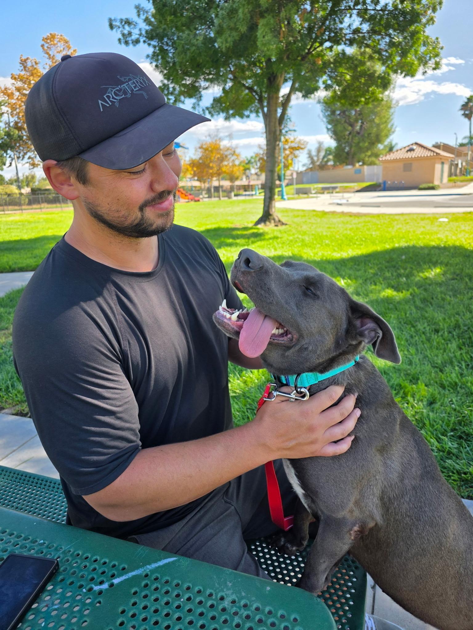 Enlarge Lilith The Kissy Monster, a Adoptable mixed breed in Menifee, CA image 4/4