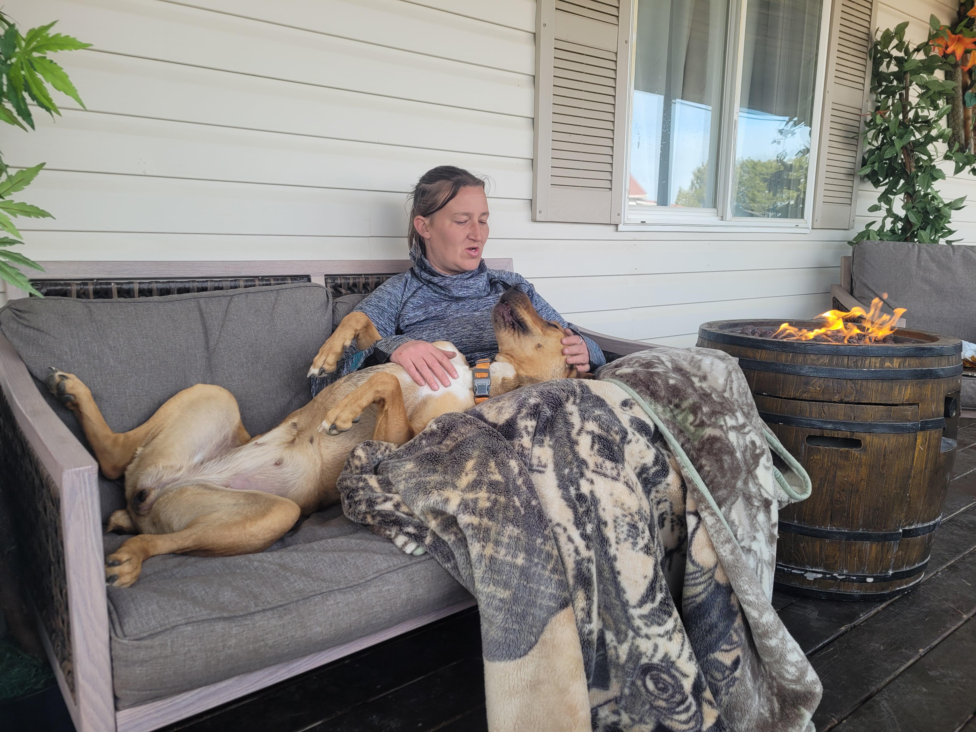 Enlarge Cinnamon, a Adoptable Boxer in Lacombe, AB image 4/5