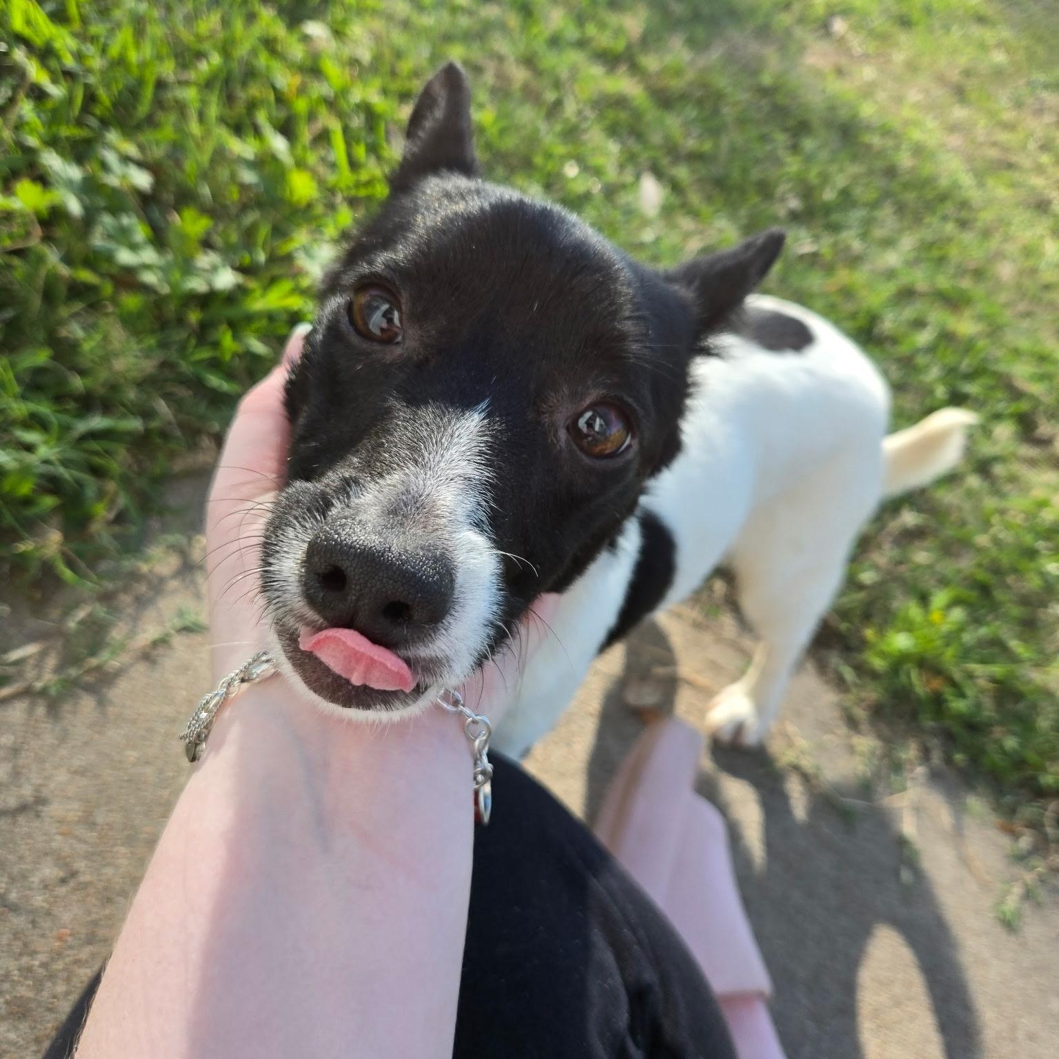 Chey — thumbnail 5