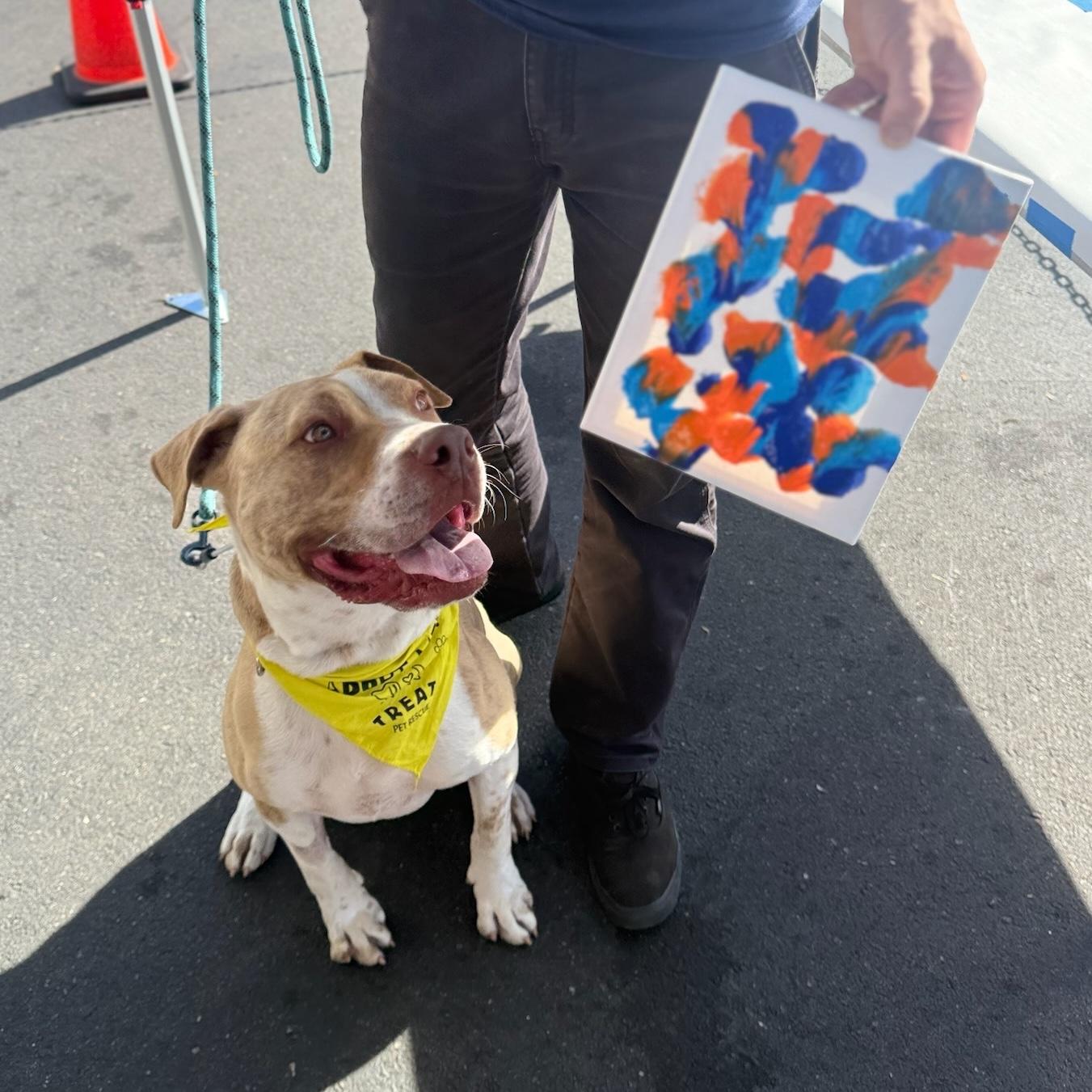 Enlarge Leo, a ADOPTABLE mixed breed in Huntington Beach, CA image 2/6