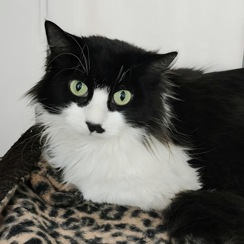 Rose — thumbnail 2