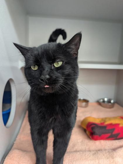 Eclipse — thumbnail 2