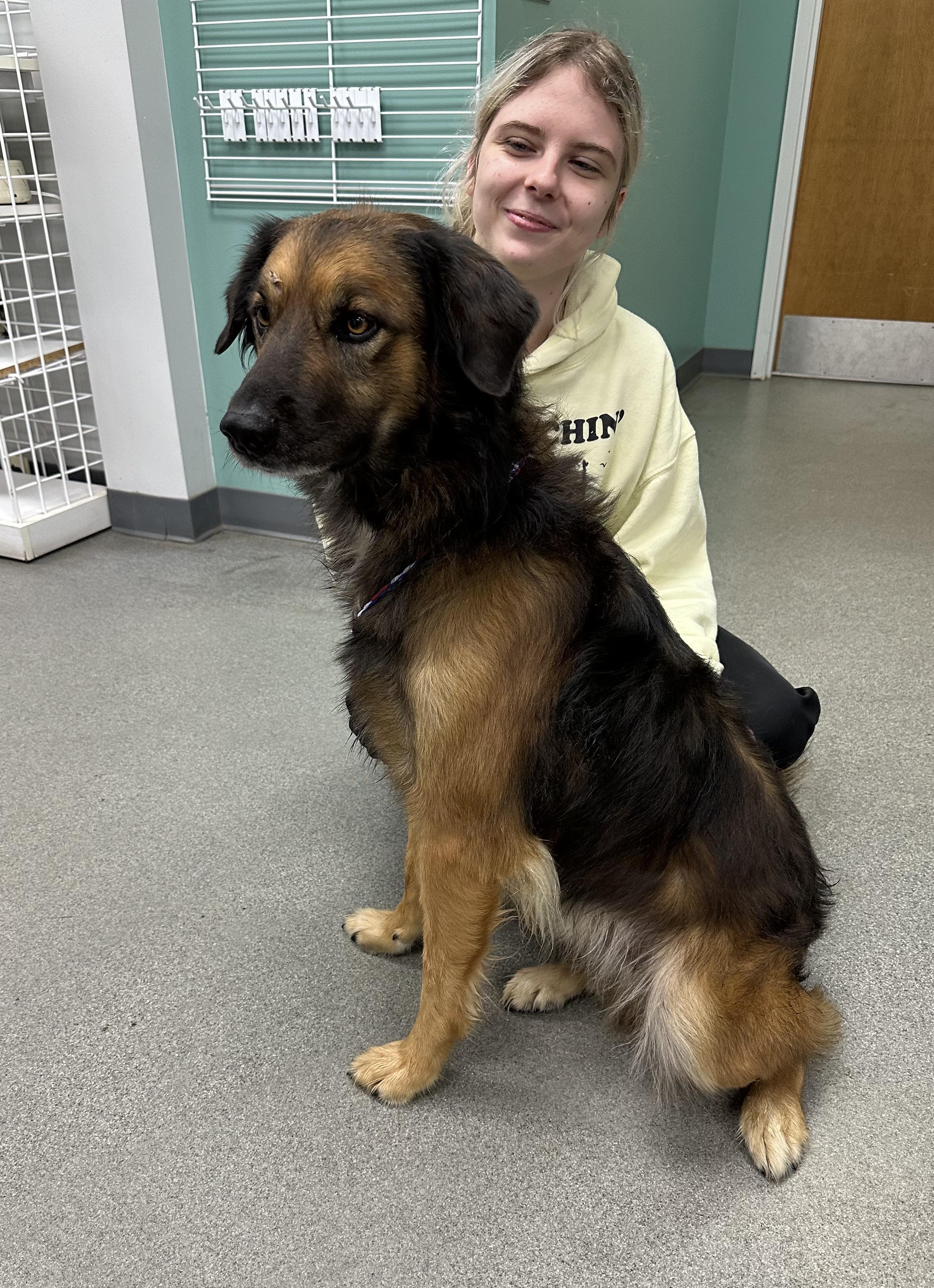 Enlarge Cowboy, a Adopted mixed breed in Cullman, AL image 3/5