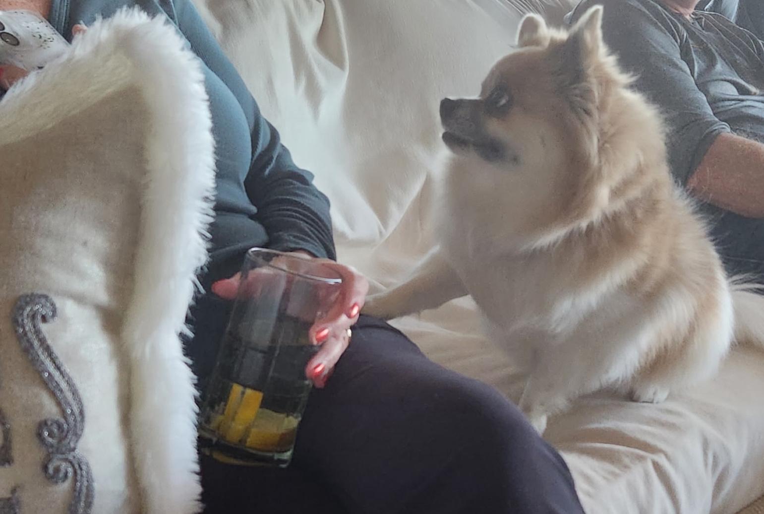 Enlarge Baby, an adopted mixed breed in West Valley, UT image 3/5