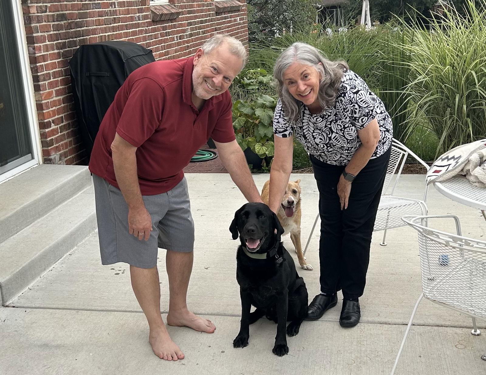 Ernest #1, Adopted, Adult Male Retriever & Labrador Retriever.
