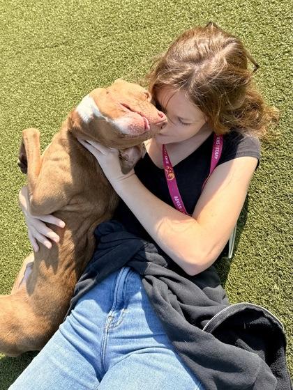 Pepe, a Adoptable mixed breed in Wichita, KS image 6/6