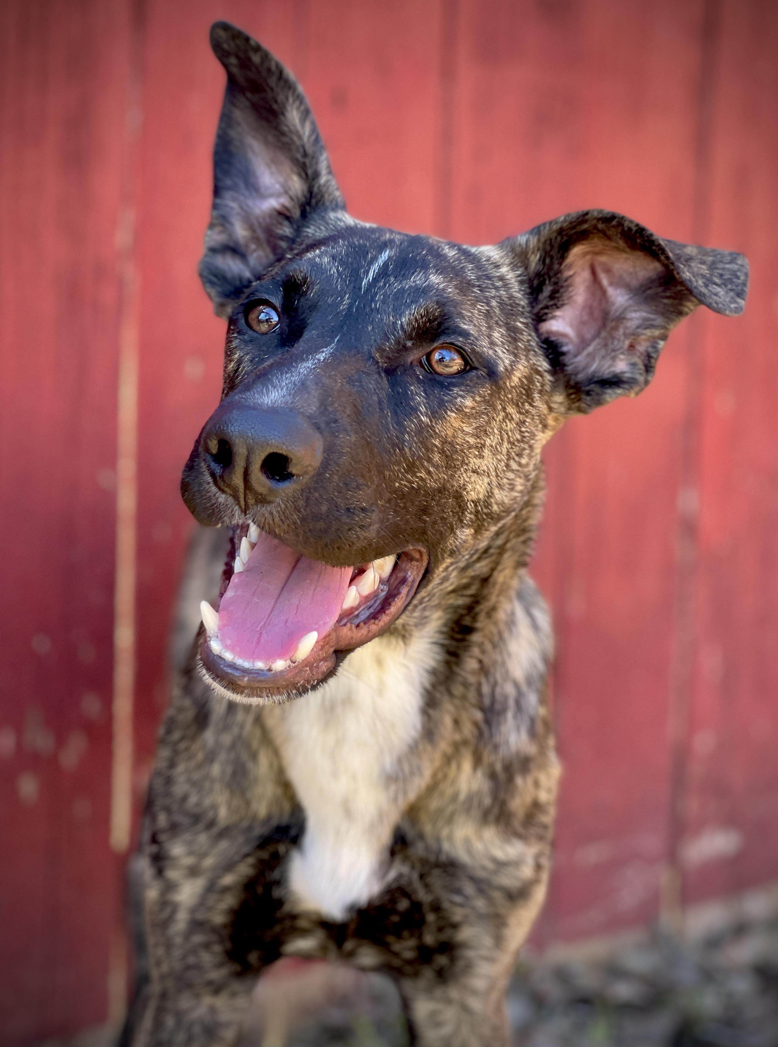 George Clooney thumbnail 2