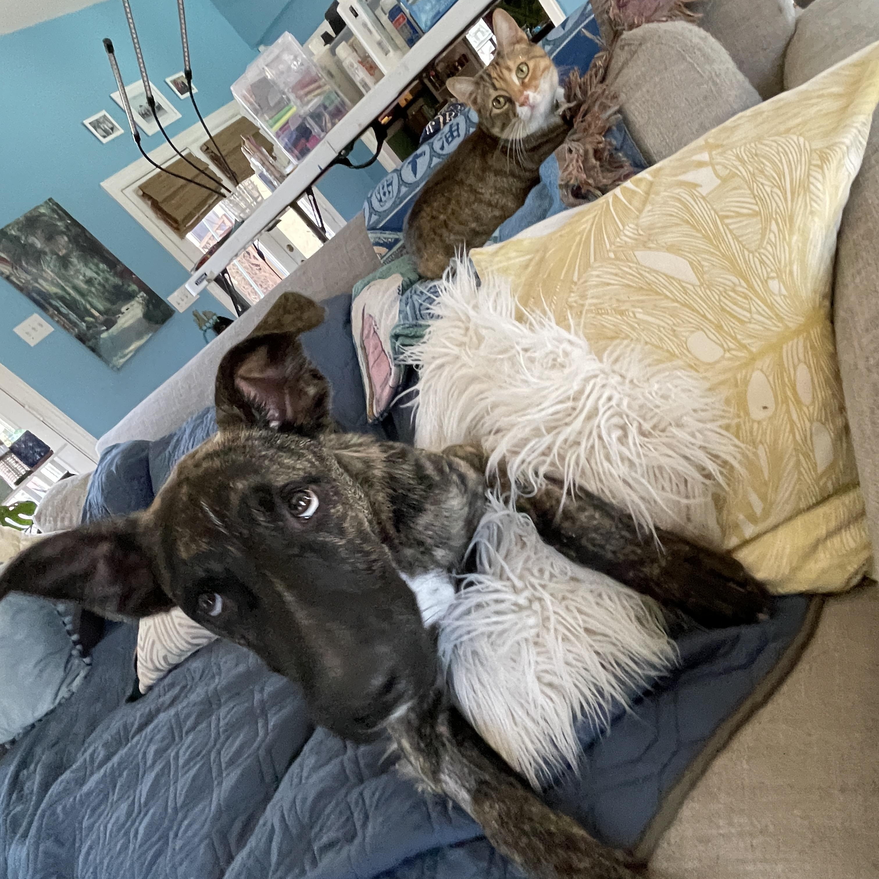 George Clooney thumbnail 3