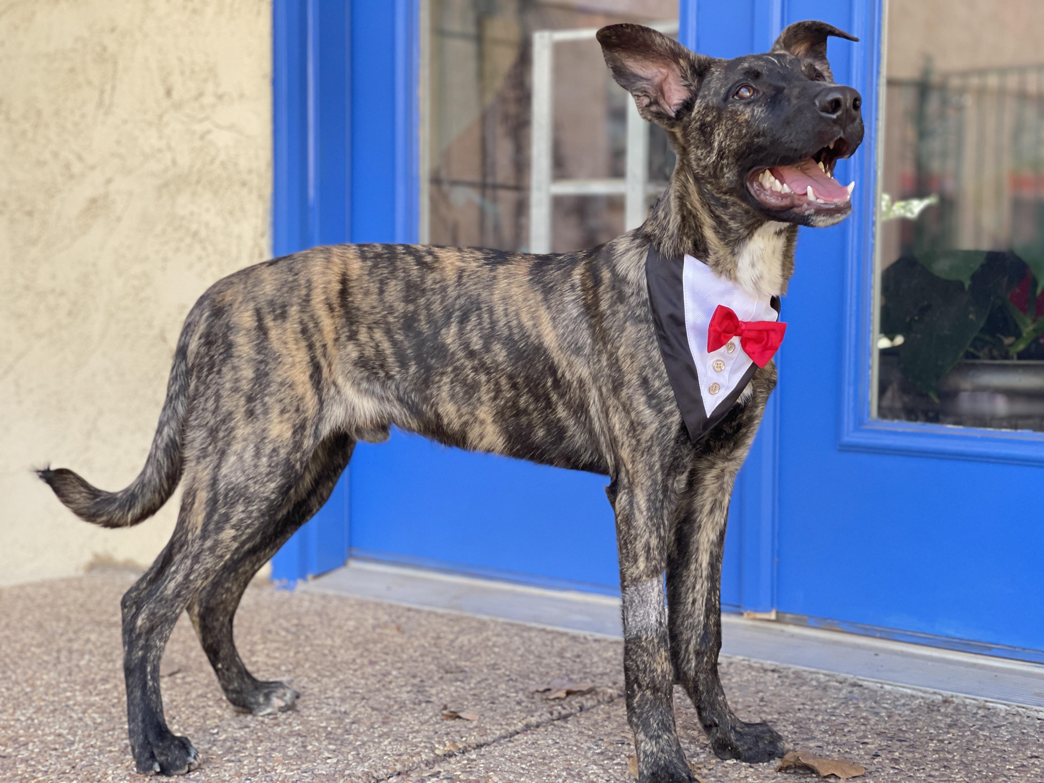 George Clooney thumbnail 4