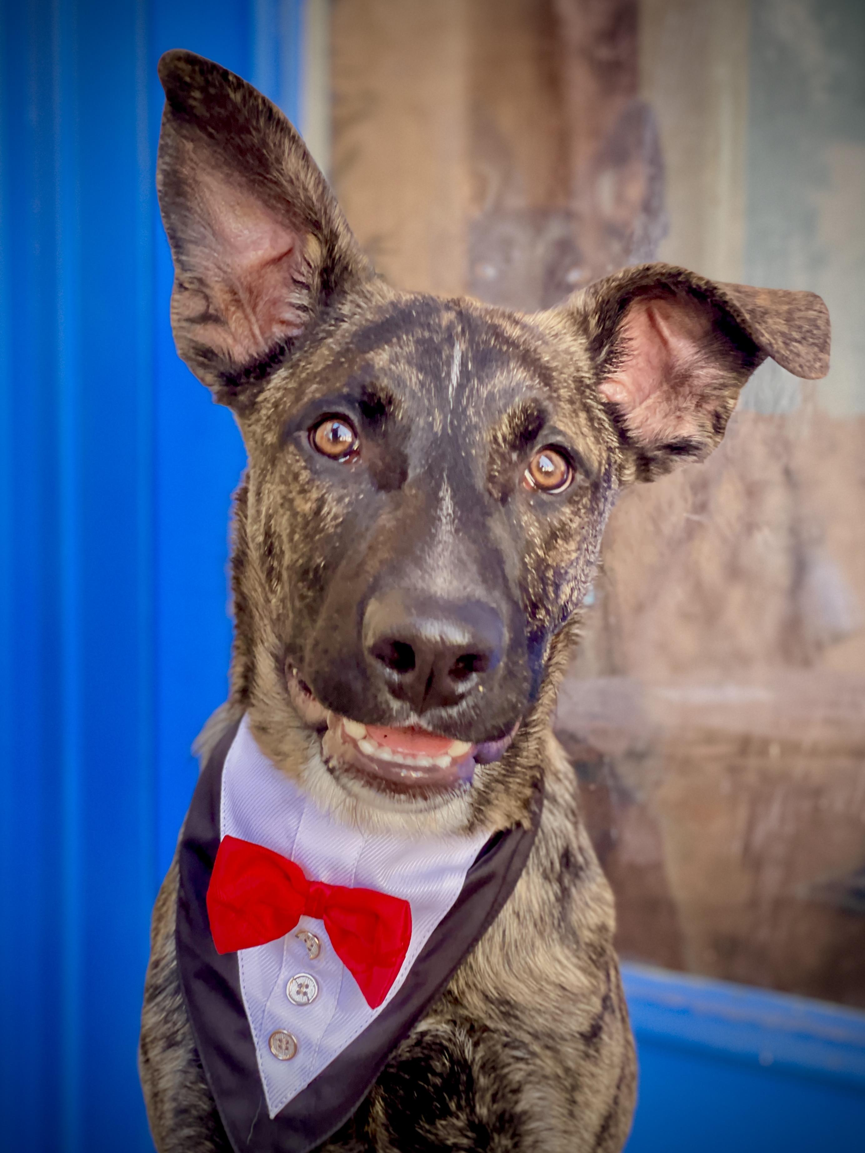 George Clooney thumbnail 6