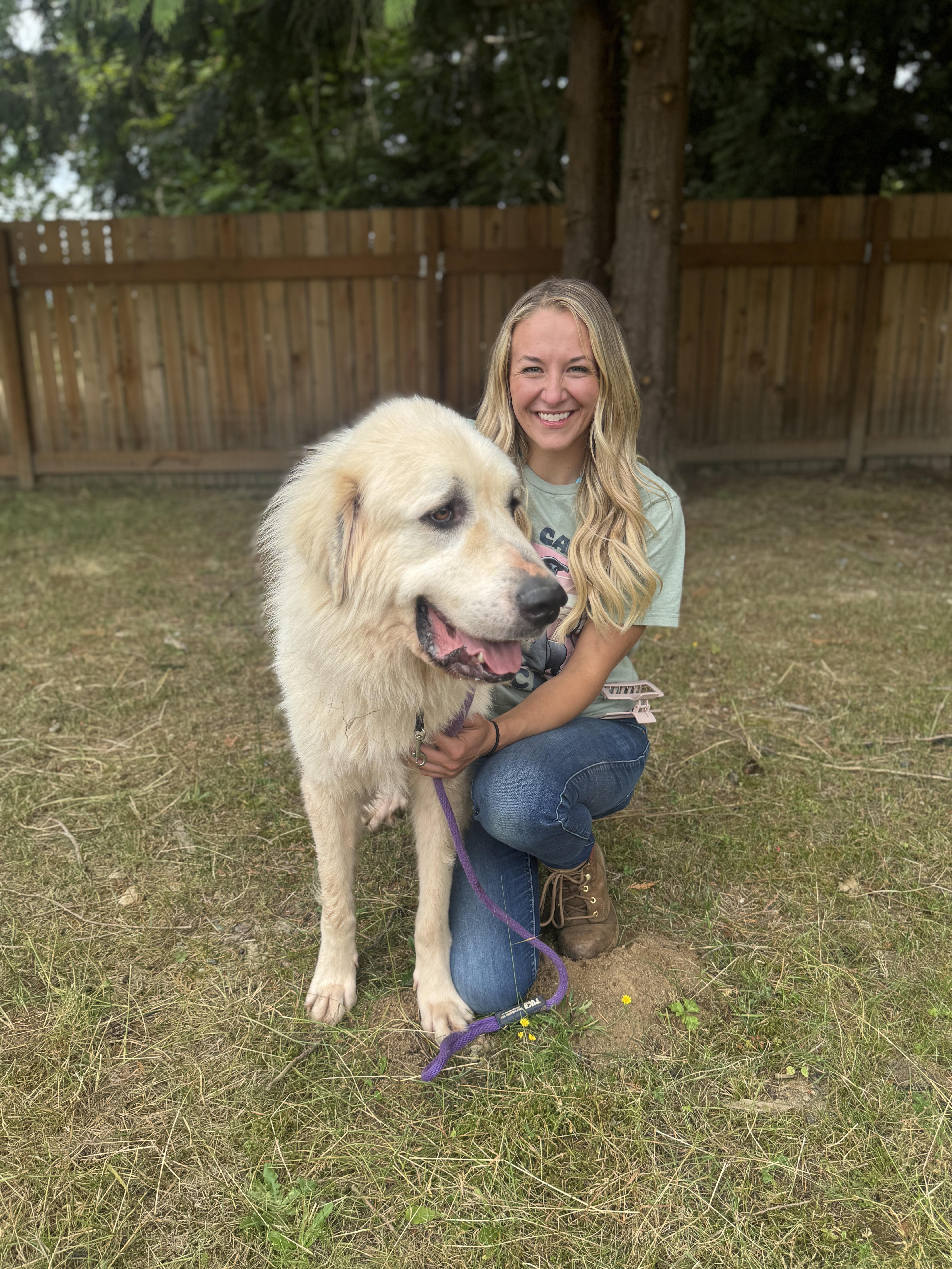 Gunther, a Adoptable Great Pyrenees in Ferndale, WA image 3/4