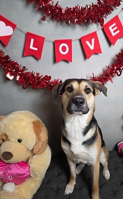 Professor Green — thumbnail 2