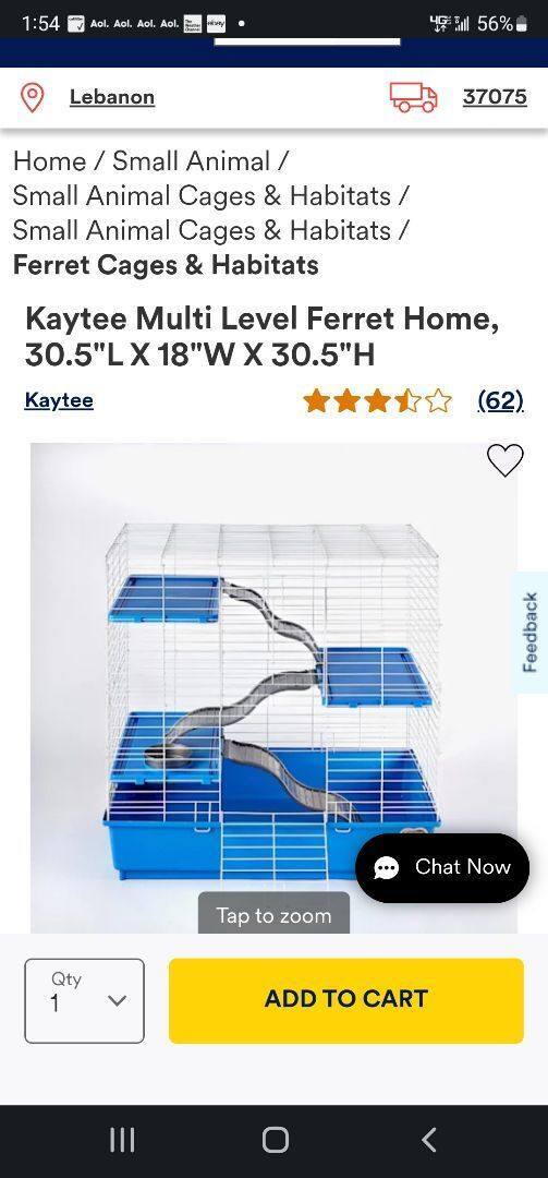 Enlarge Dolly , a Adopted Hedgehog in Nashville, TN image 2/4