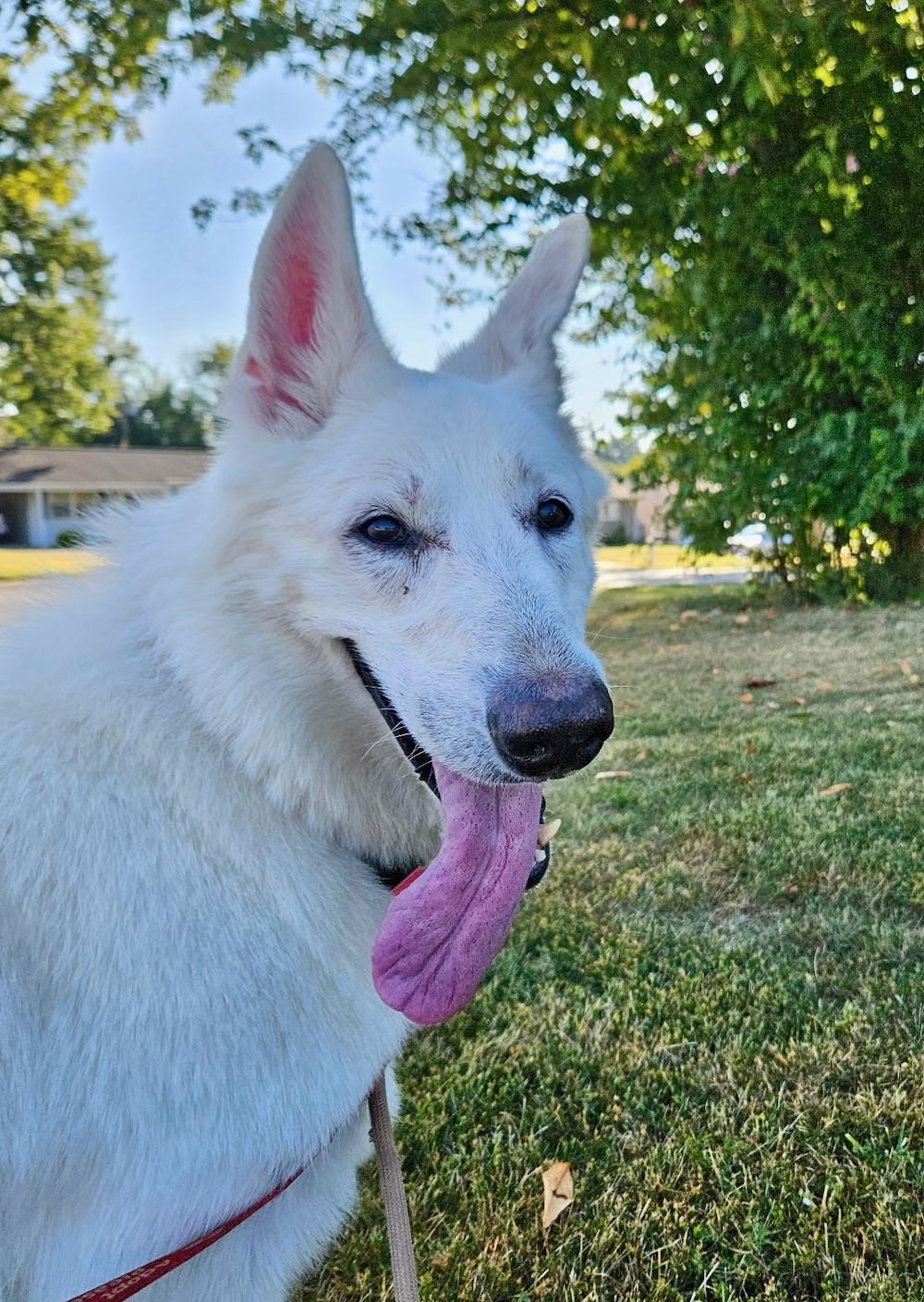 Molly