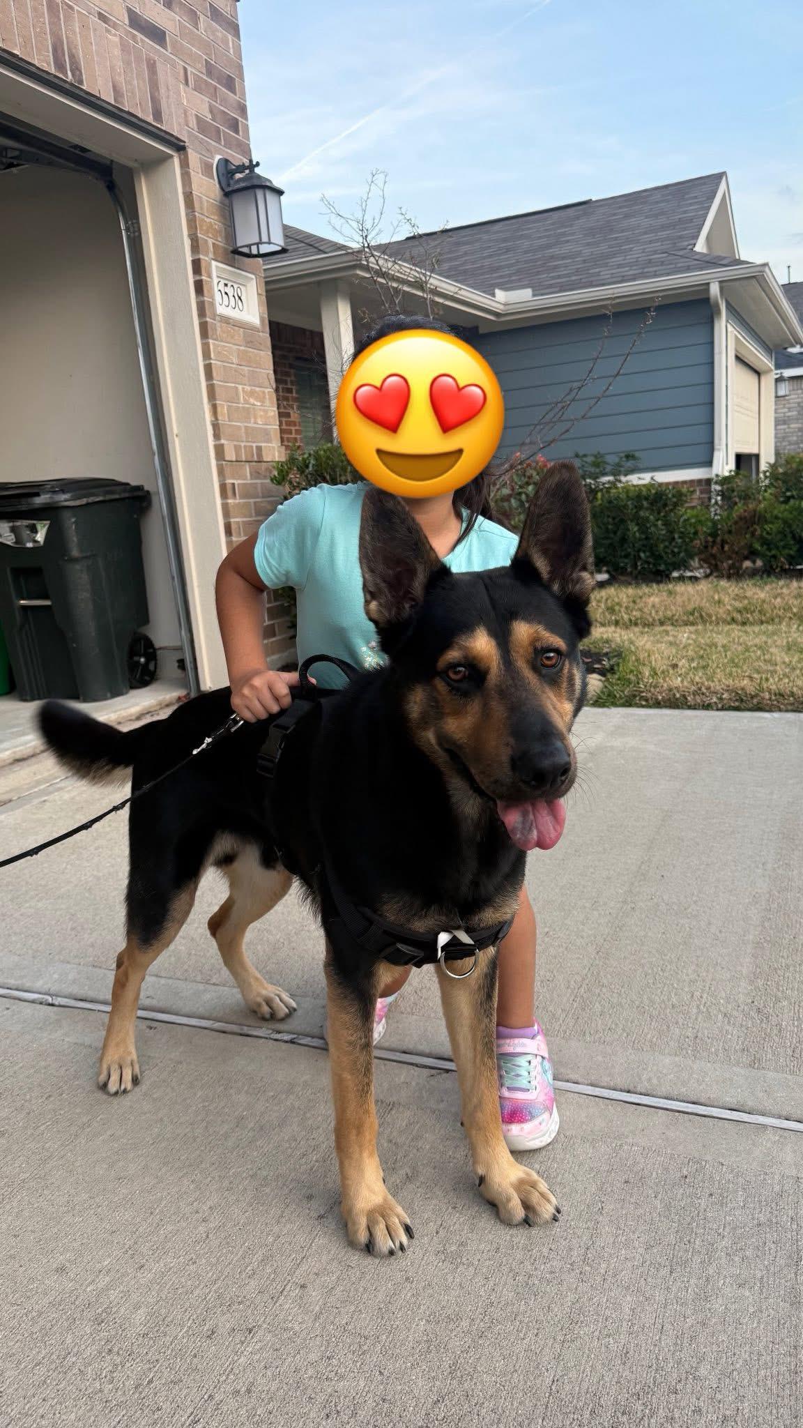 REX GS — thumbnail 4