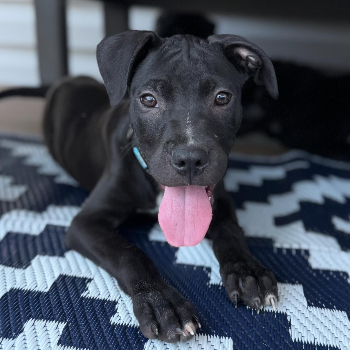 Atlas
