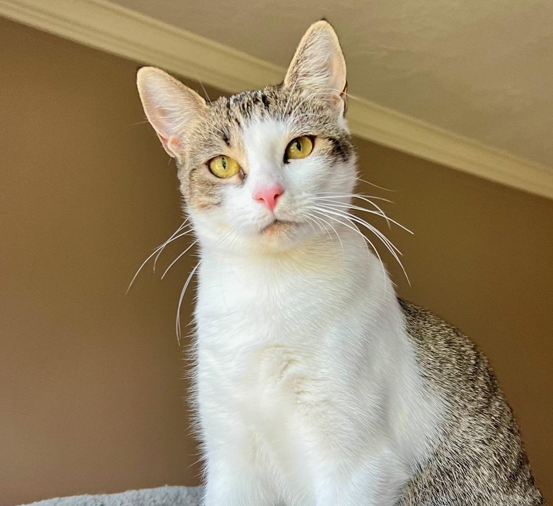 Summer #loves-head-scratches