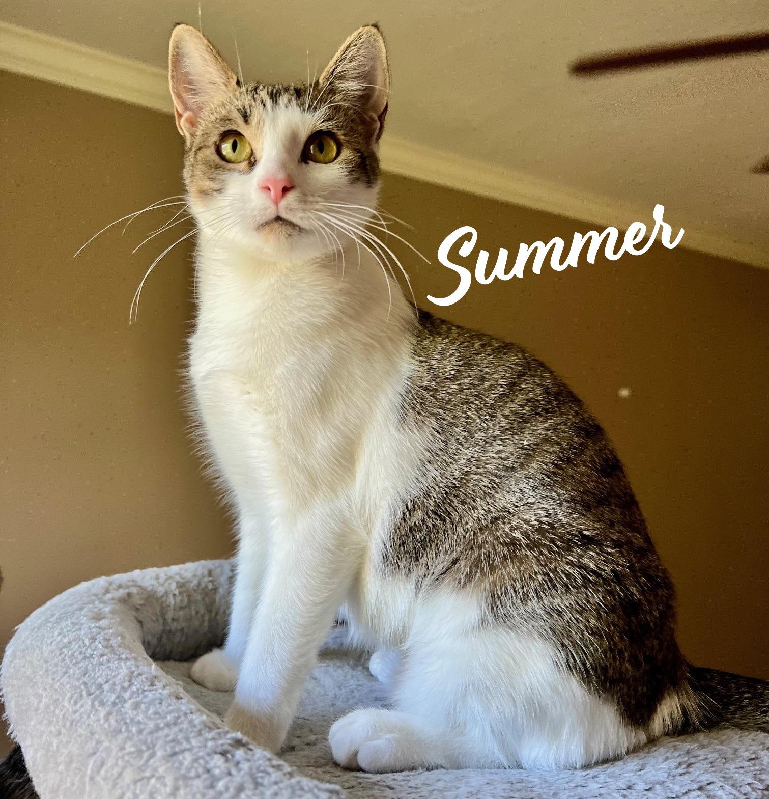 Summer #loves-head-scratches