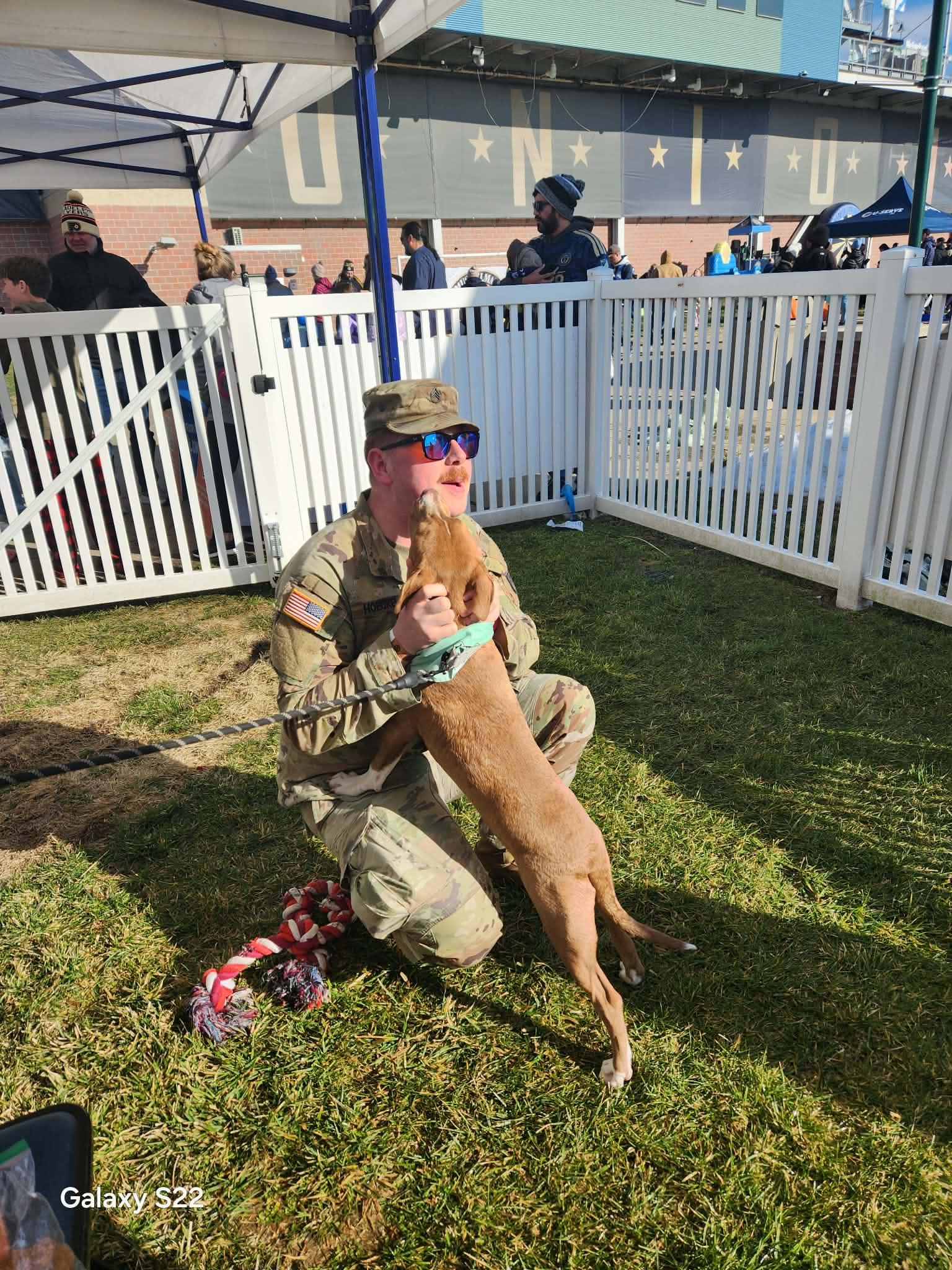 Rover, a ADOPTABLE Pit Bull Terrier in Blue Bell, PA image 6/6