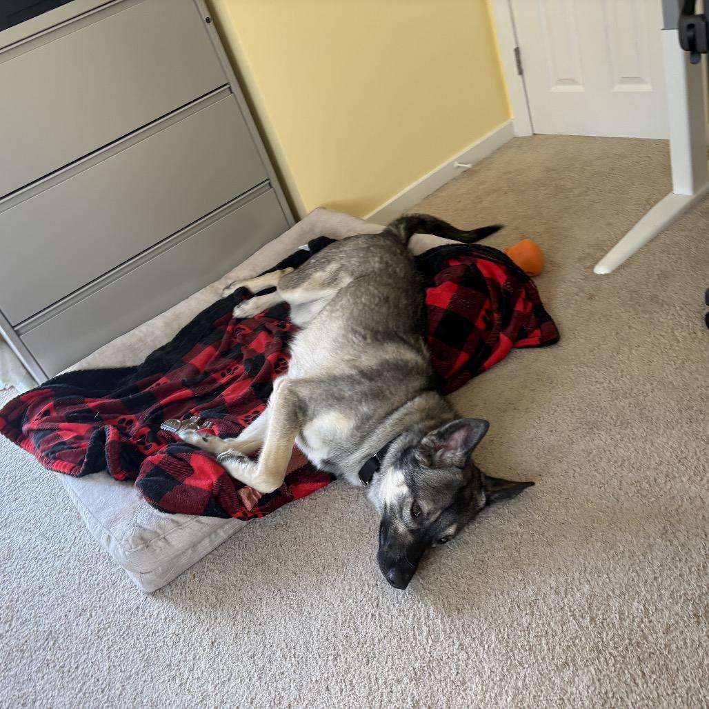 Yeti — thumbnail 5