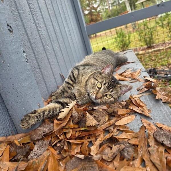 Margarita snugglepurr — thumbnail 4