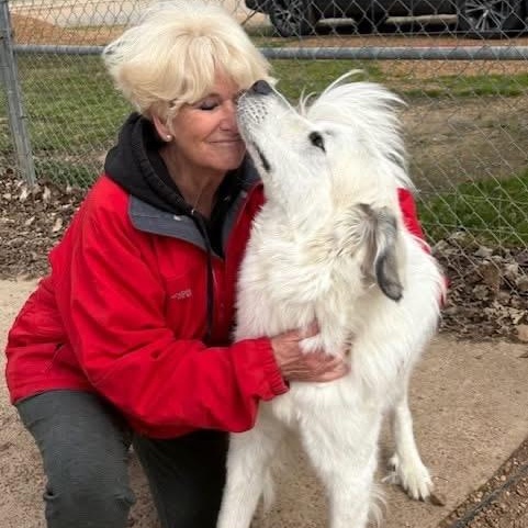 Spruce — thumbnail 3