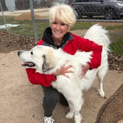 Spruce — thumbnail 4