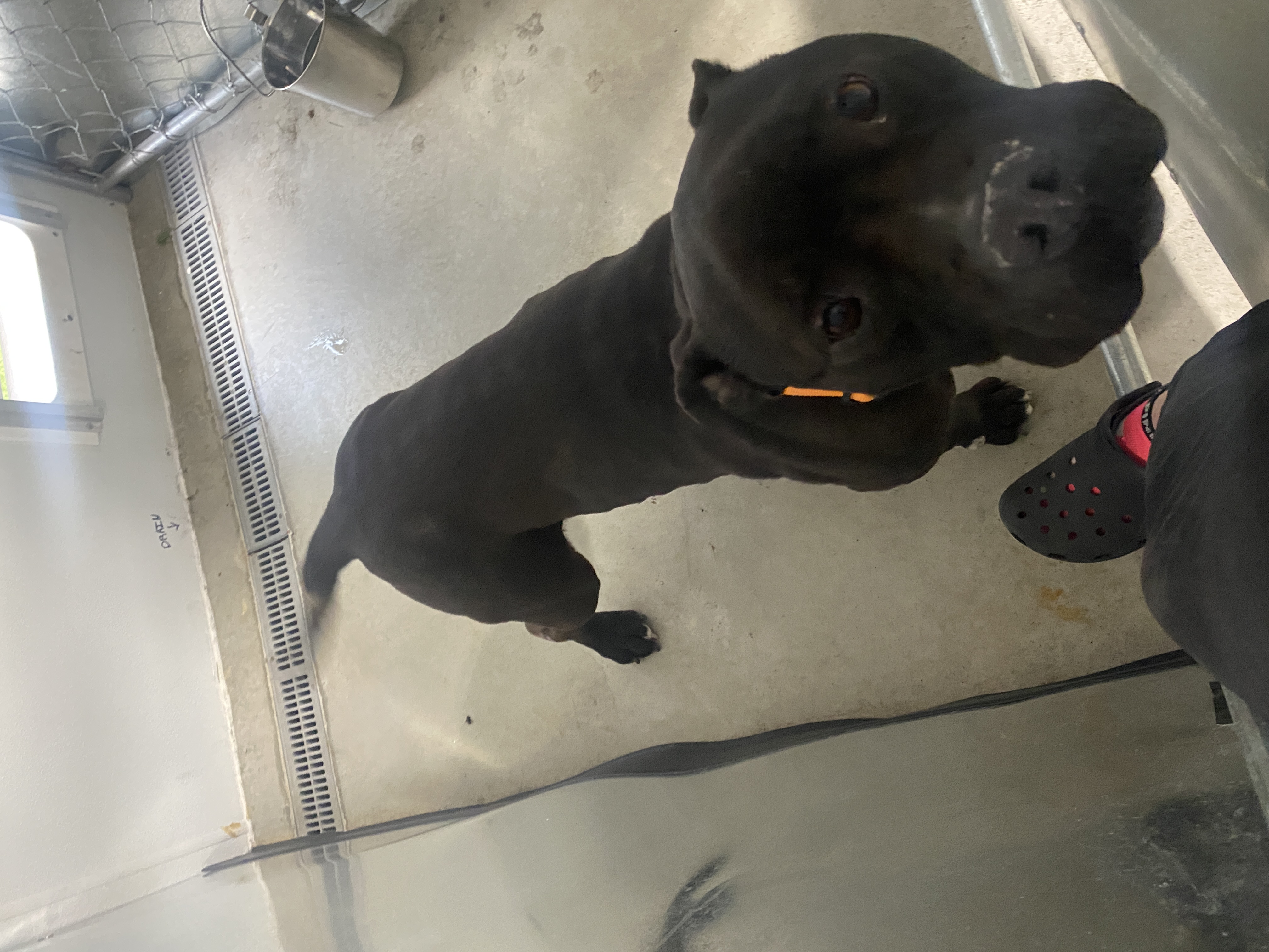 Zeus photo 3