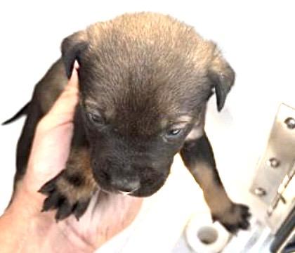 A650629 — thumbnail 2