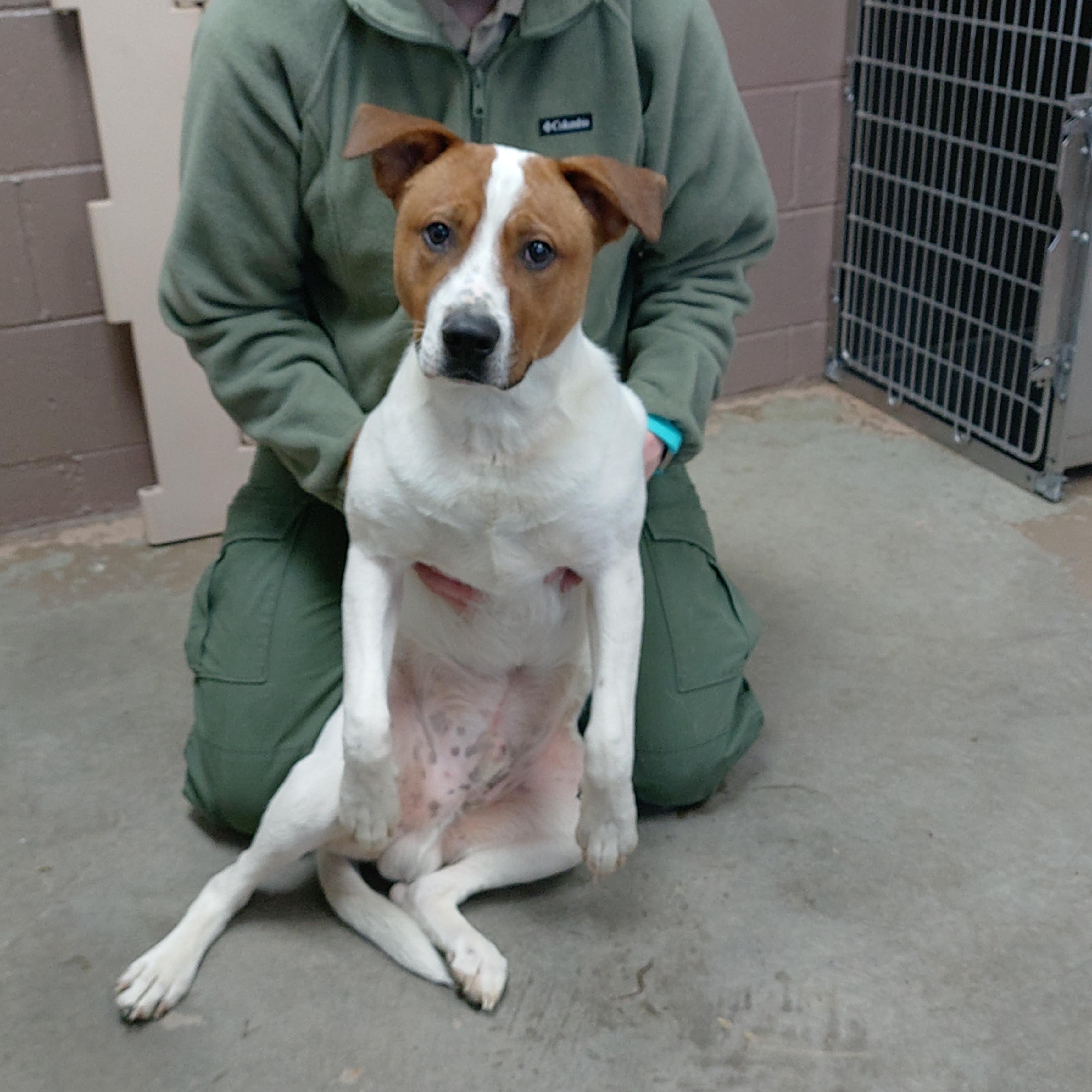 25-024 Available 2-12-25