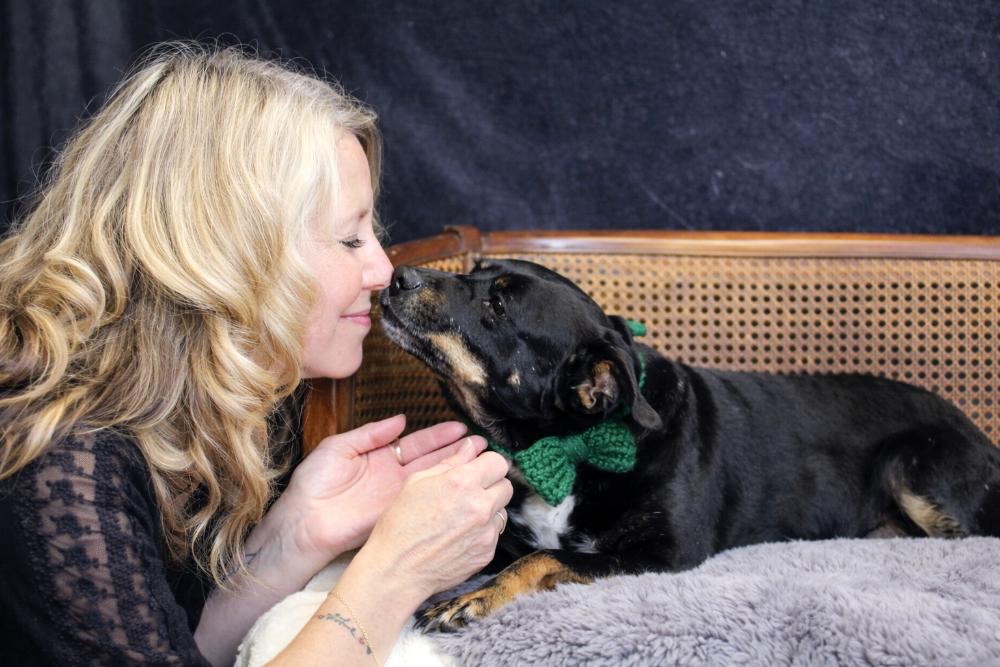 Authur, an adoption pending mixed breed in Cheboygan, MI image 5/6