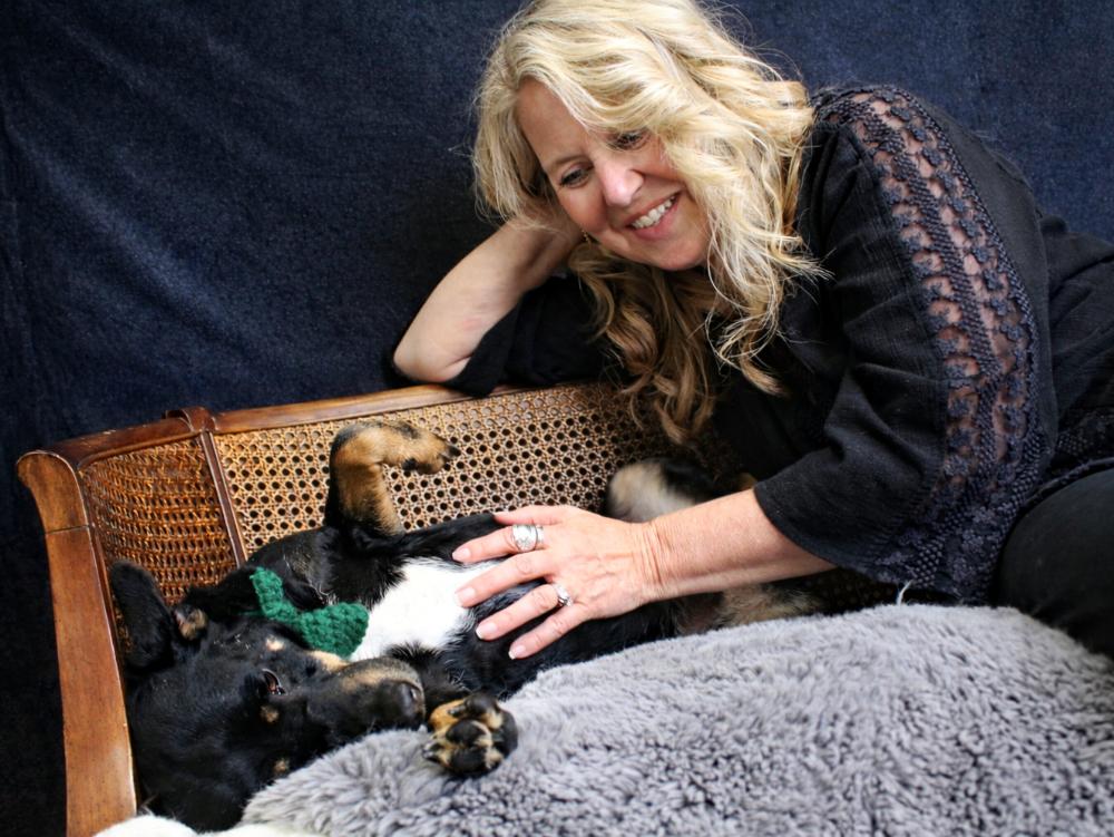 Authur, an adoption pending mixed breed in Cheboygan, MI image 4/6