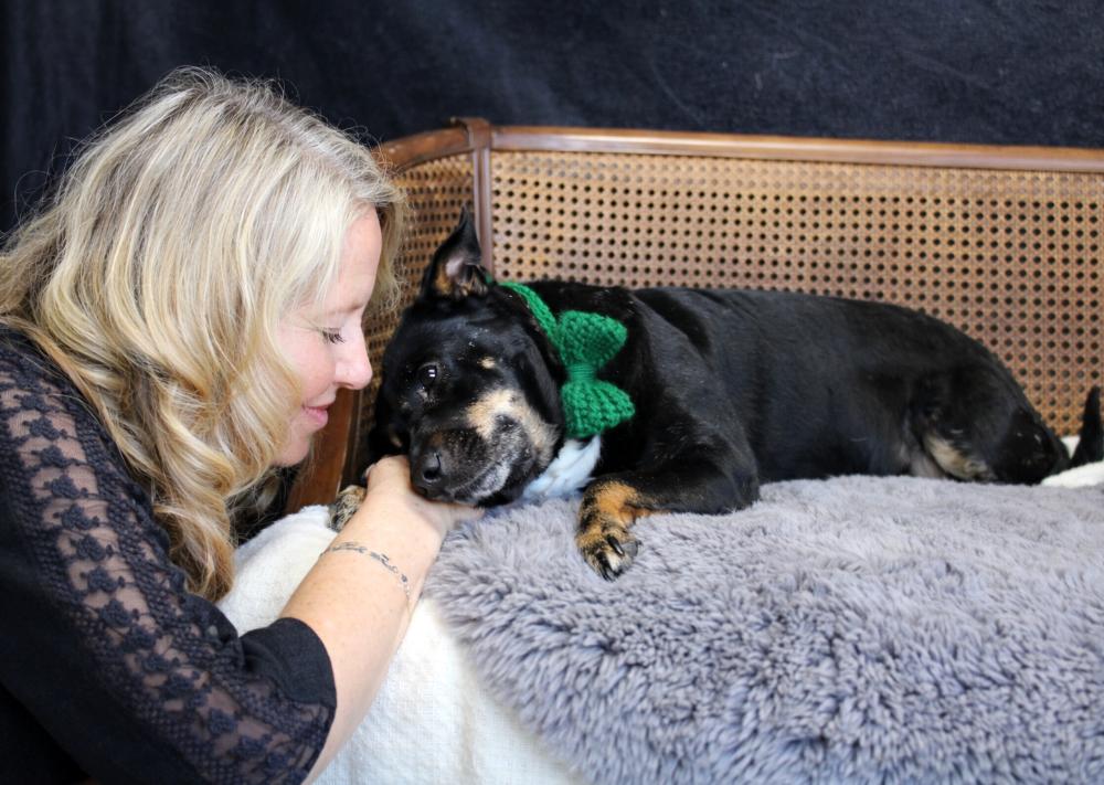 Authur, an adoption pending mixed breed in Cheboygan, MI image 2/6