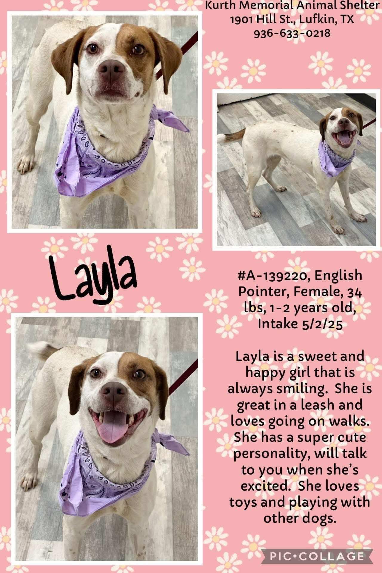 Layla photo 1