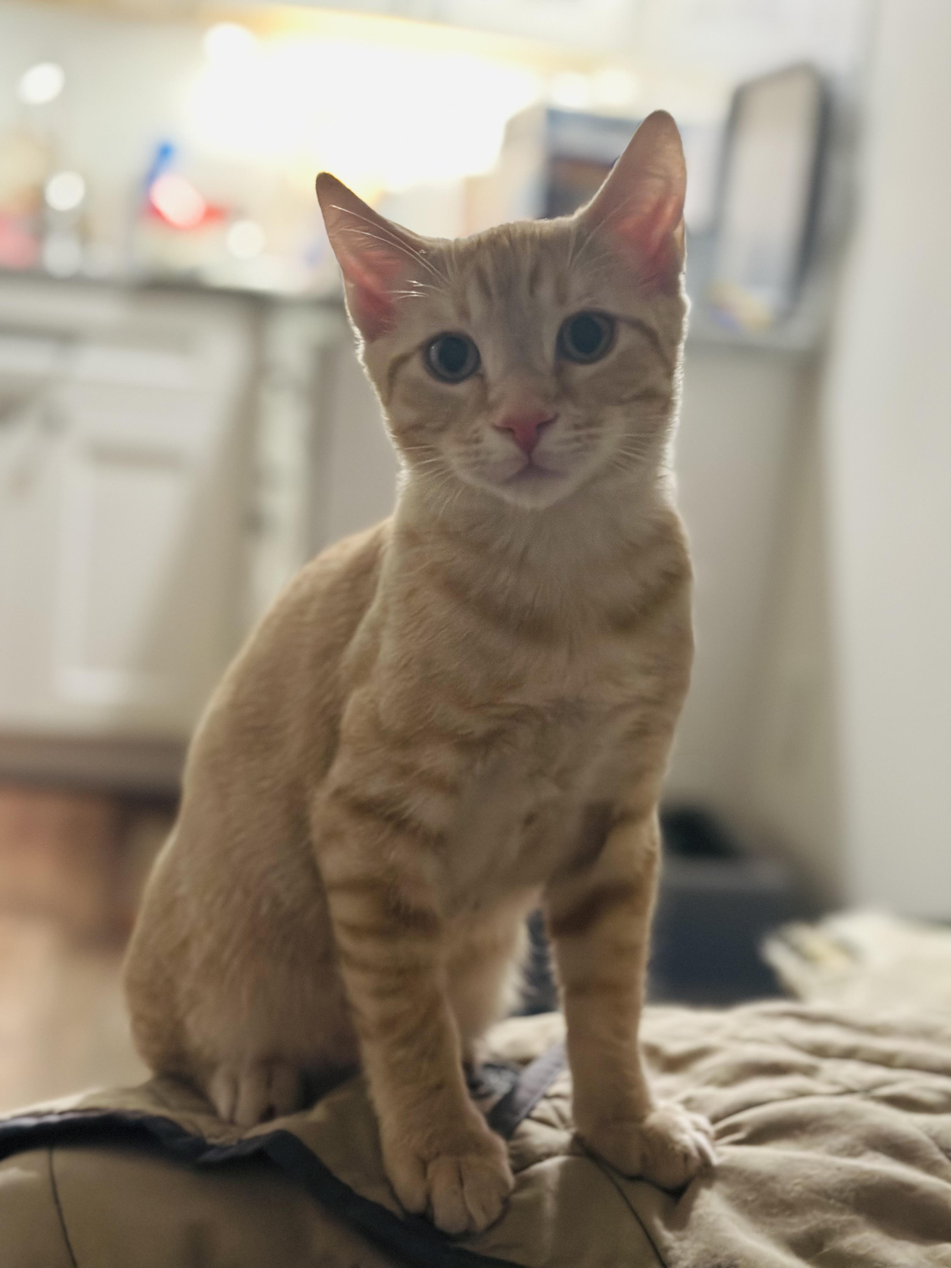 O'malley thumbnail 4