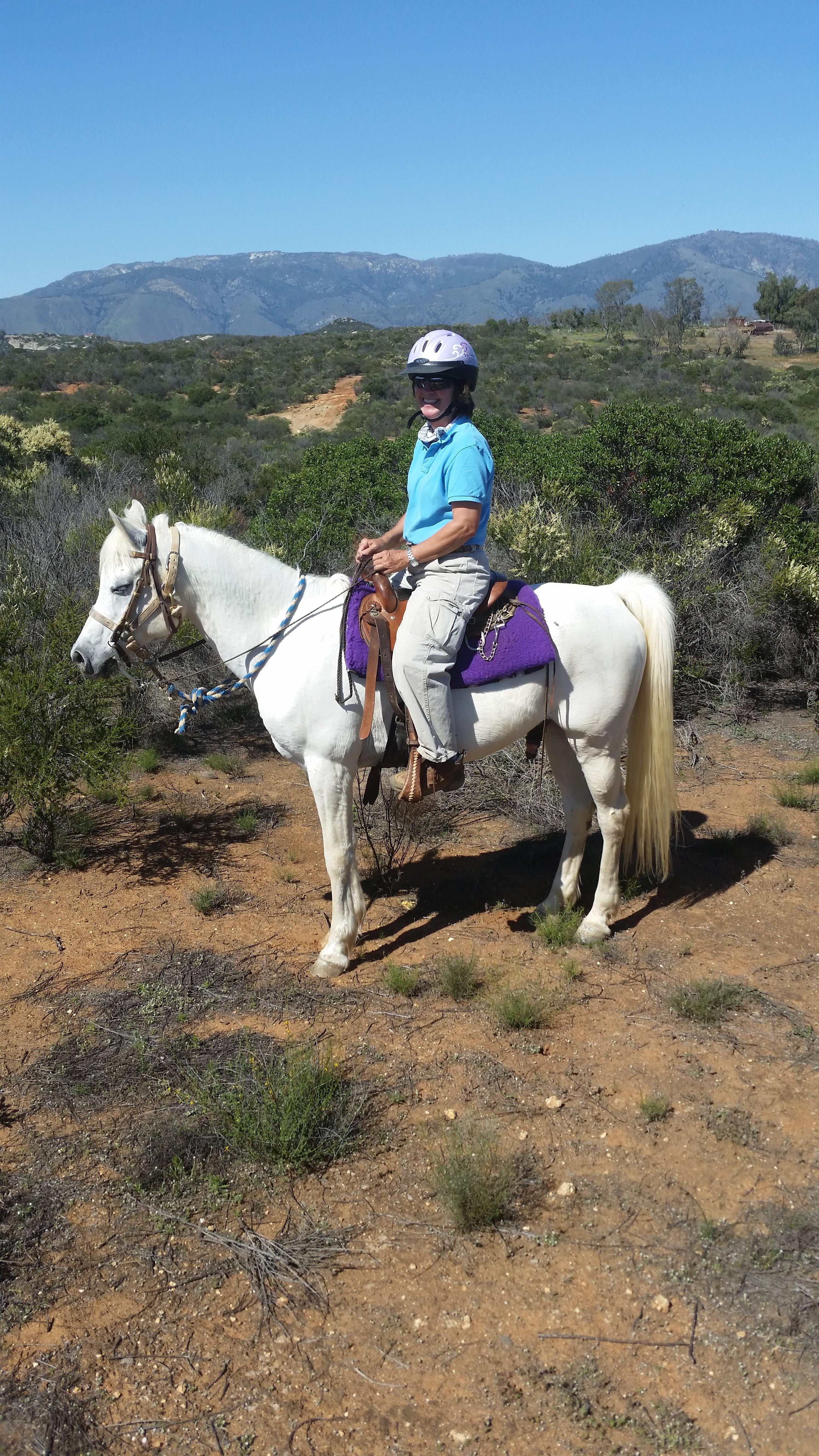 MS Shara Dream, a Adoptable Arabian in Valley Center, CA image 3/6