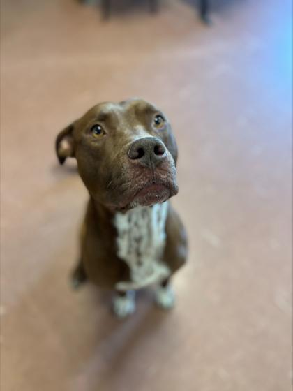 Cheech — thumbnail 3