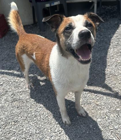 Charles `Chuck` — thumbnail 2