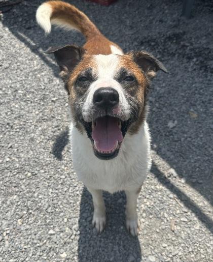 Charles `Chuck` — thumbnail 3