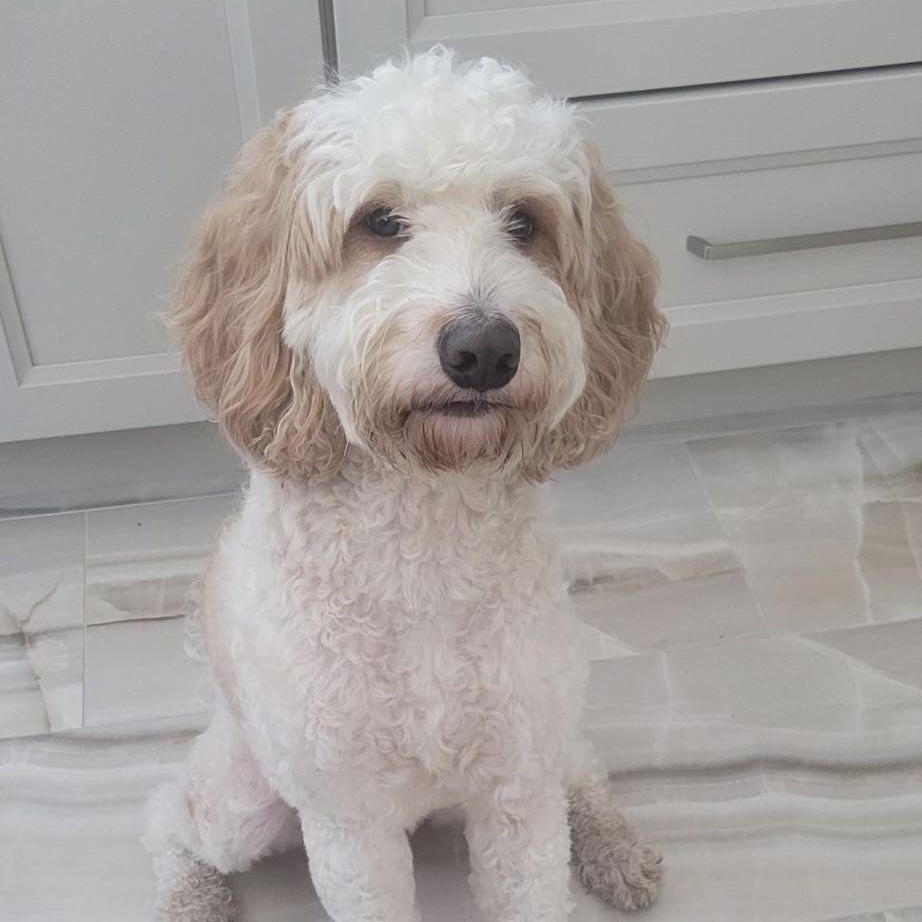 Milo