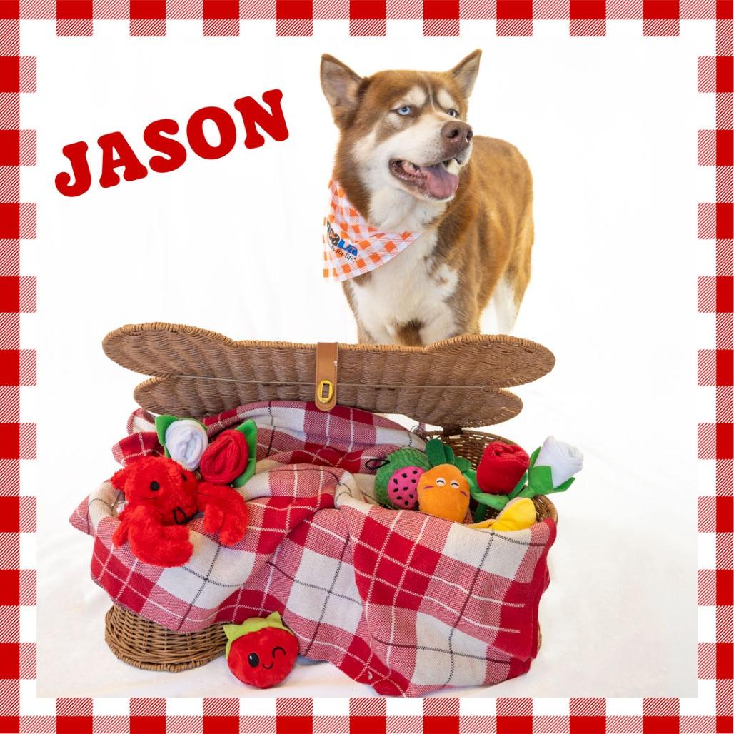 Enlarge Jason, a Adoptable mixed breed in Hawthorne, CA image 5/6