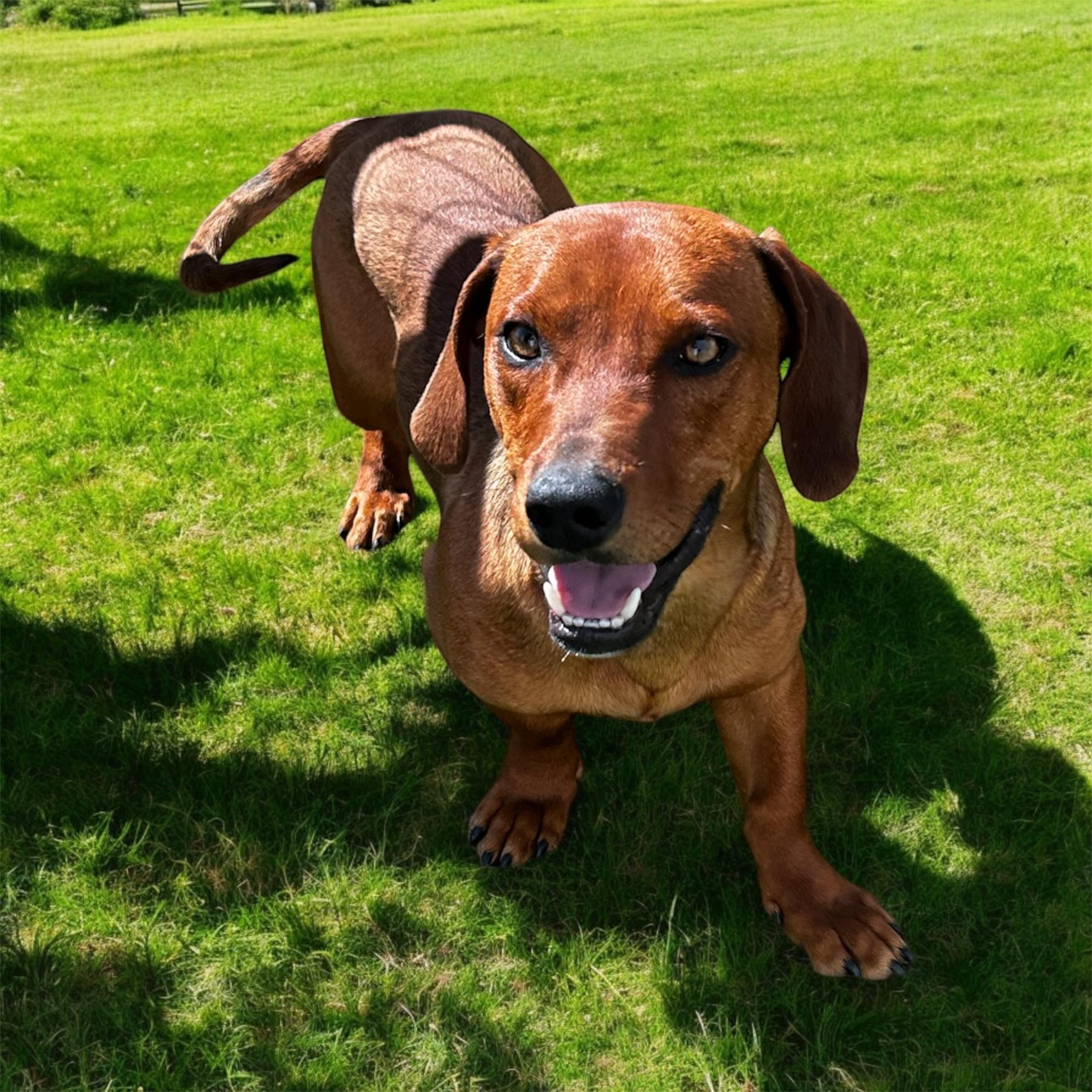 Charlie photo 2