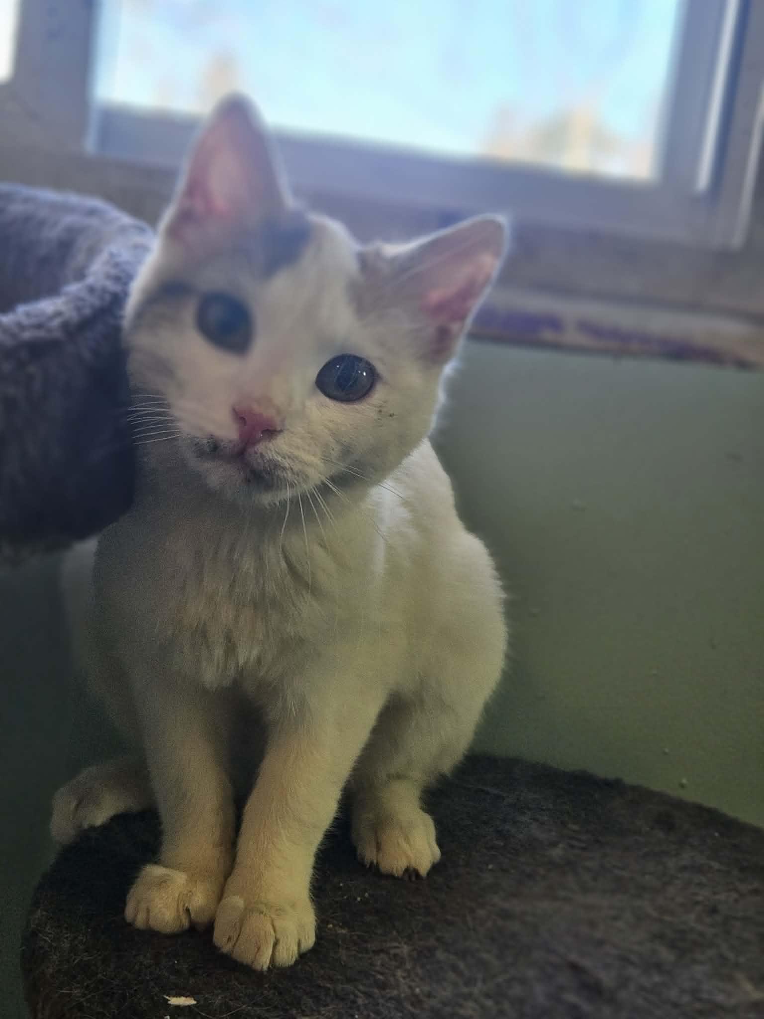 Namine — thumbnail 5