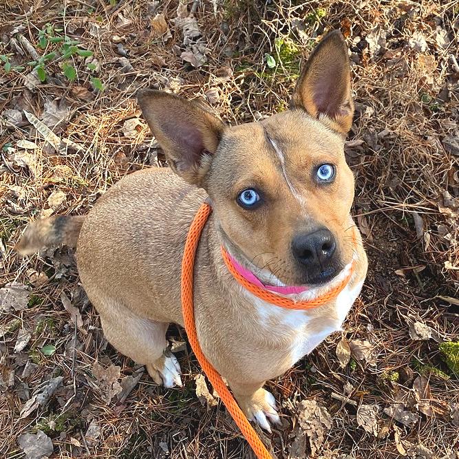 Persephone — thumbnail 5