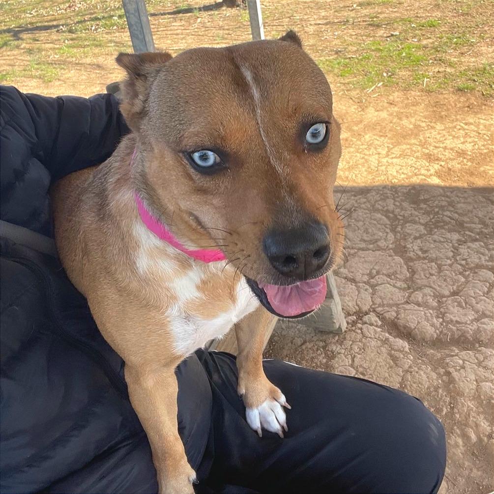 Persephone — thumbnail 6