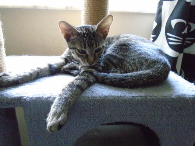 Eli~the precious baby! 5