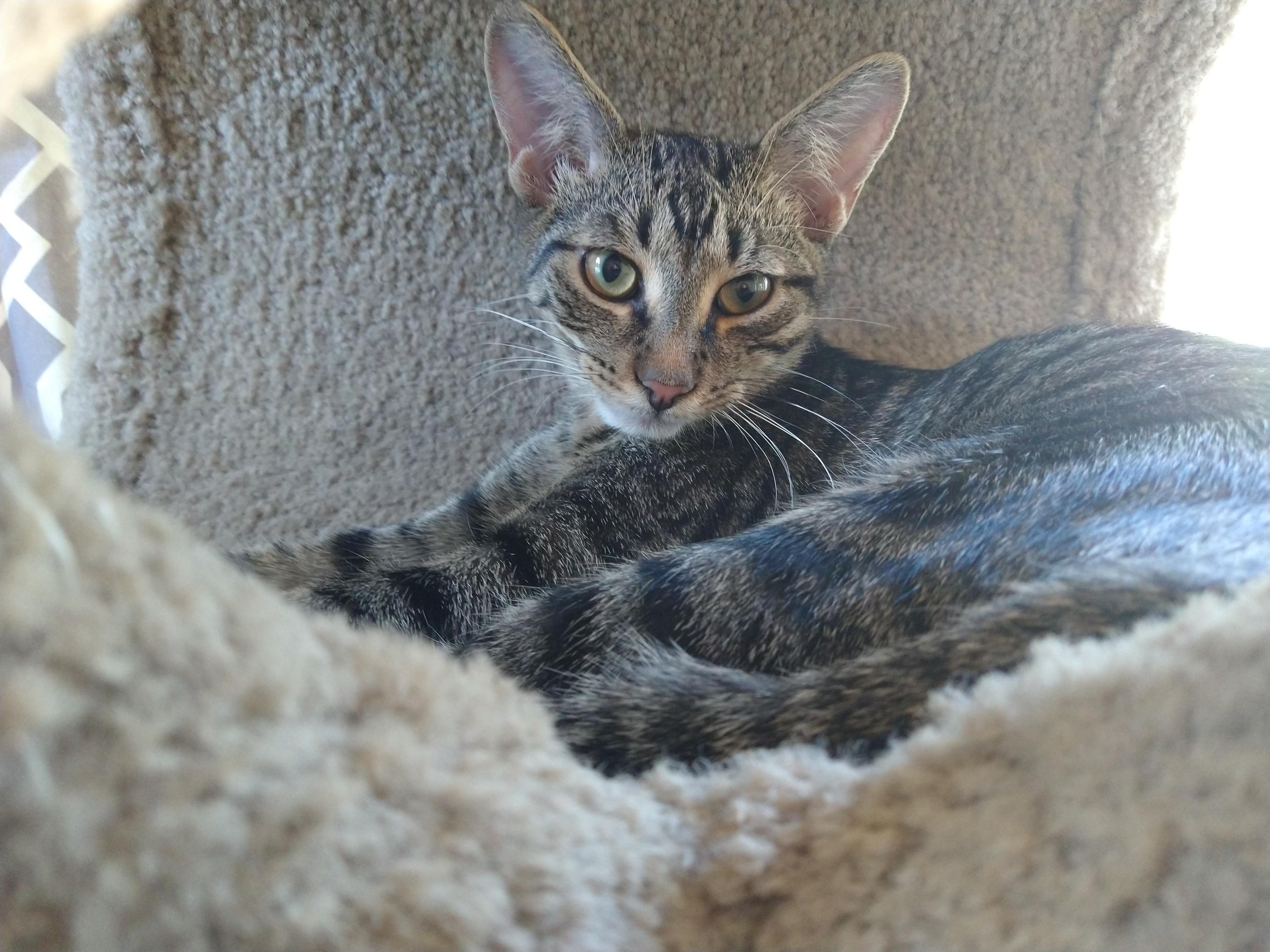 Eli~the precious baby! 1