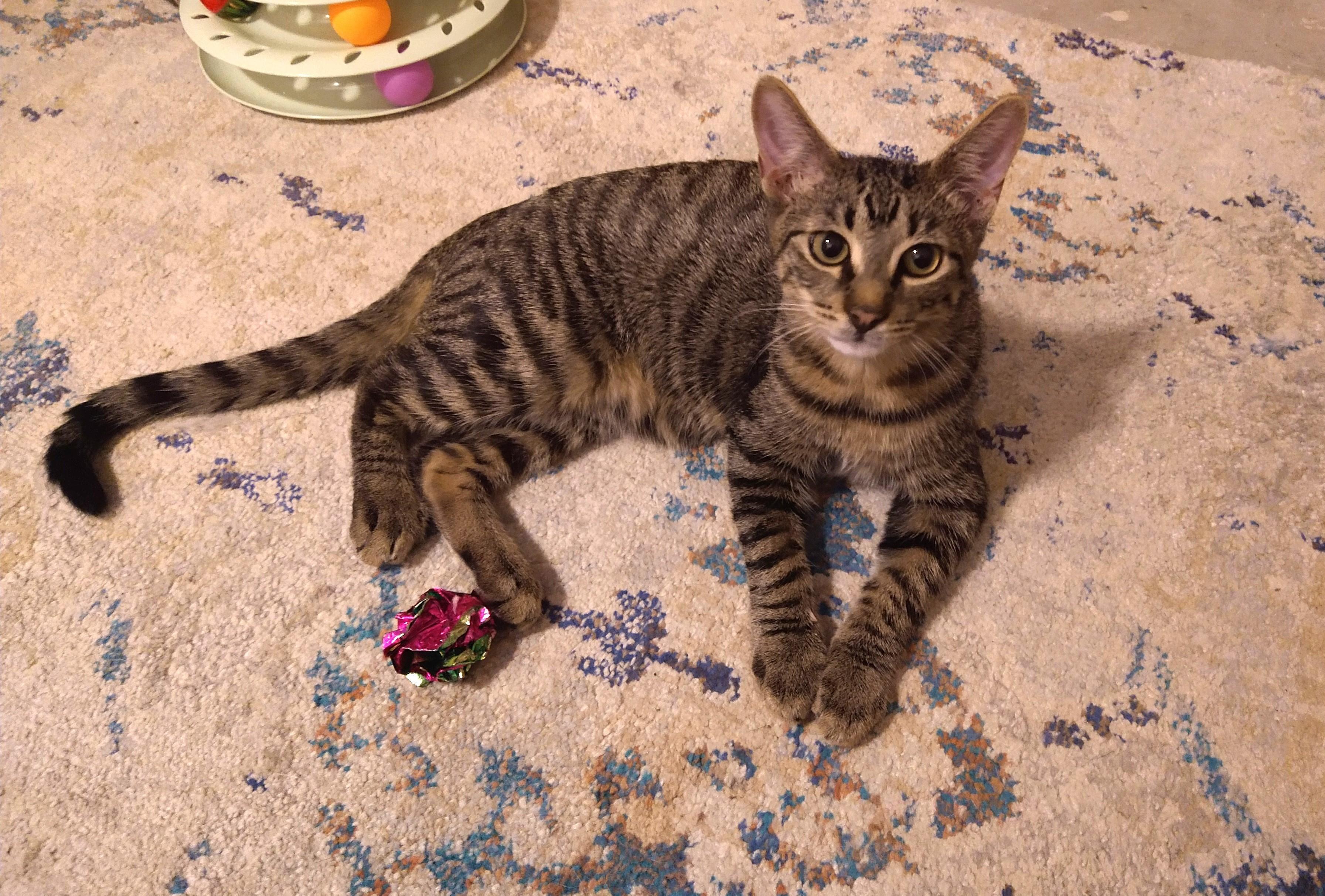 Eli~the precious baby! 2