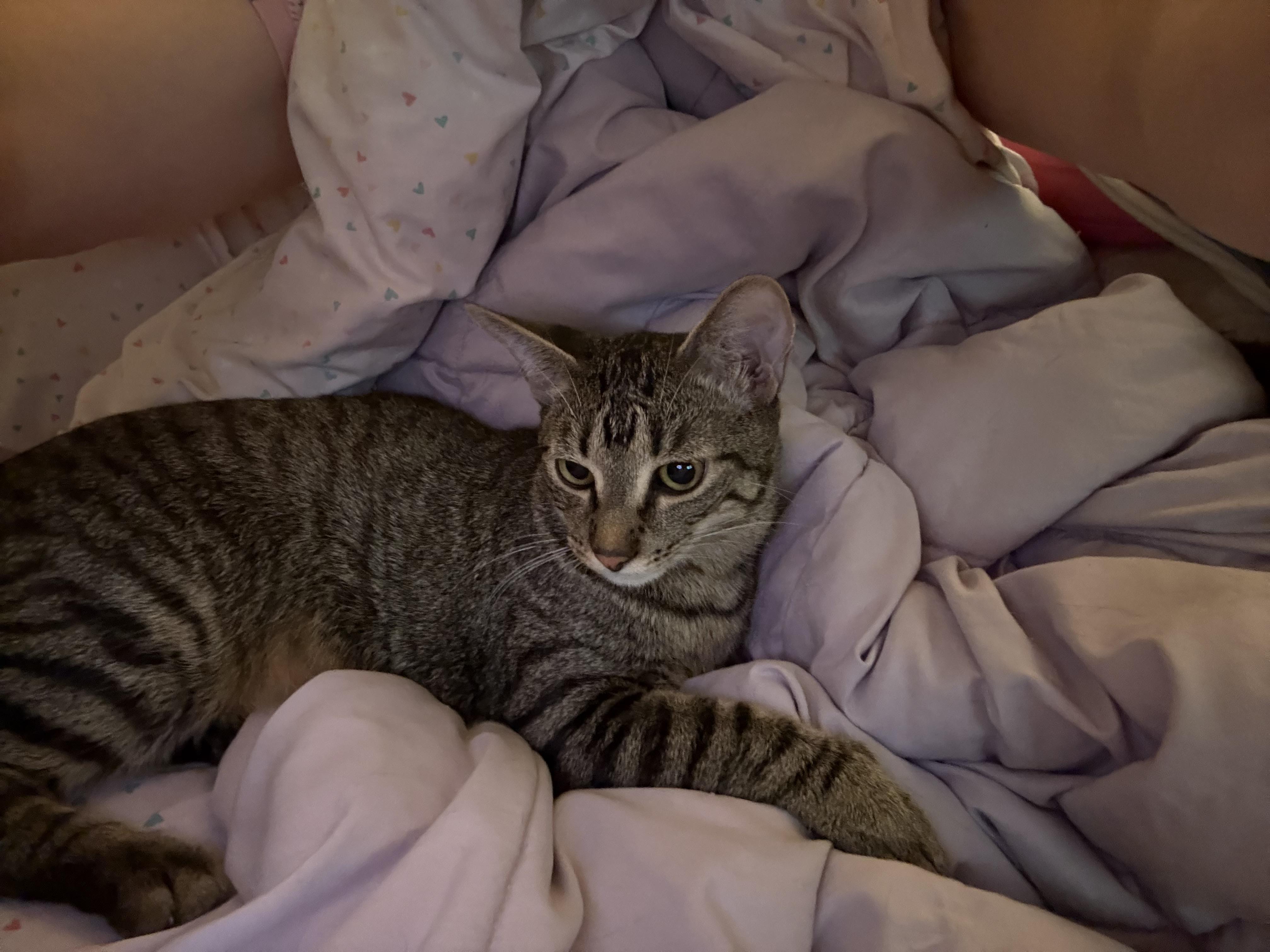 Eli~the precious baby! 3